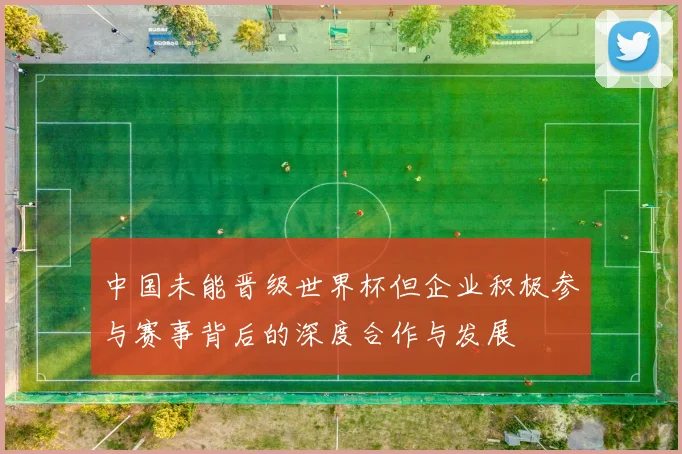 中国未能晋级世界杯但企业积极参与赛事背后的深度合作与发展