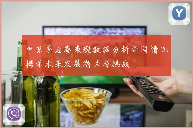申京季后赛表现数据分析合同情况揭示未来发展潜力与挑战